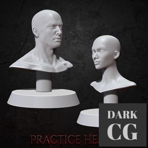 Practice Busts – 3D Print