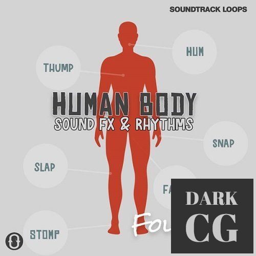 Soundtrack Loops Foley V3 Human Body Sound Effects & Rhythms