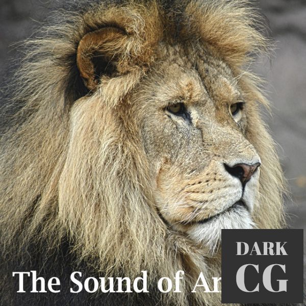 Sound Effects Factory The Sound of Animals