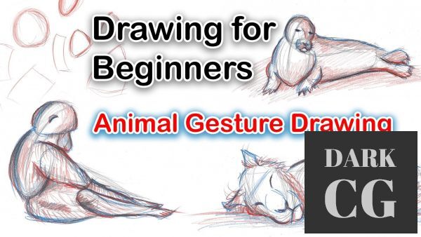 Drawing for Beginners Learn to draw animals and capture the gesture