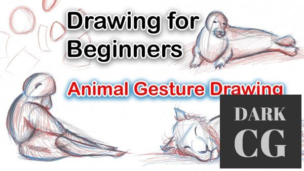 Drawing for Beginners: Learn to draw animals and capture the gesture