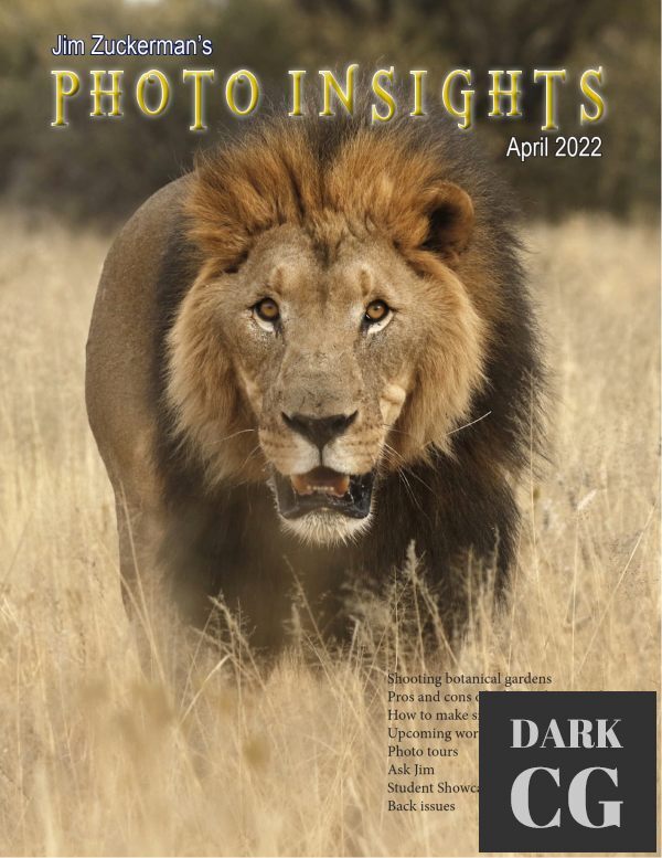 Photo Insights – April 2022 (True PDF)