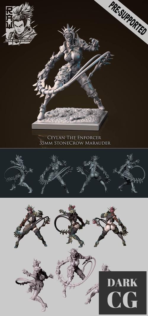 Ceylan The Enforcer - Stonecrow Marauder – 3D Print