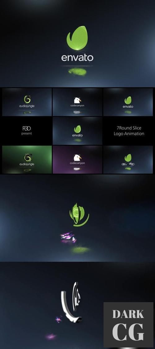 7 Round Slice Logo Animation 25759202