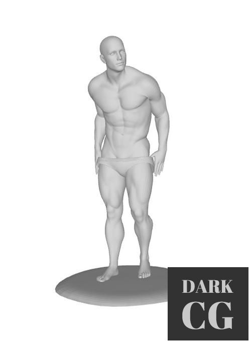 Stripper – 3D Print