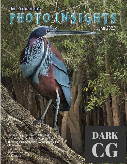 Photo Insights – June 2022 (PDF)