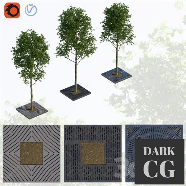 3D Model Trees and Lattice