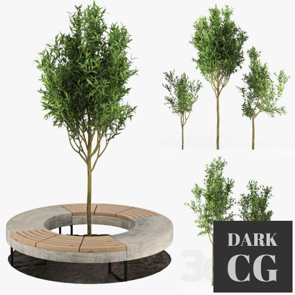 3D Model Tree Flowerbed