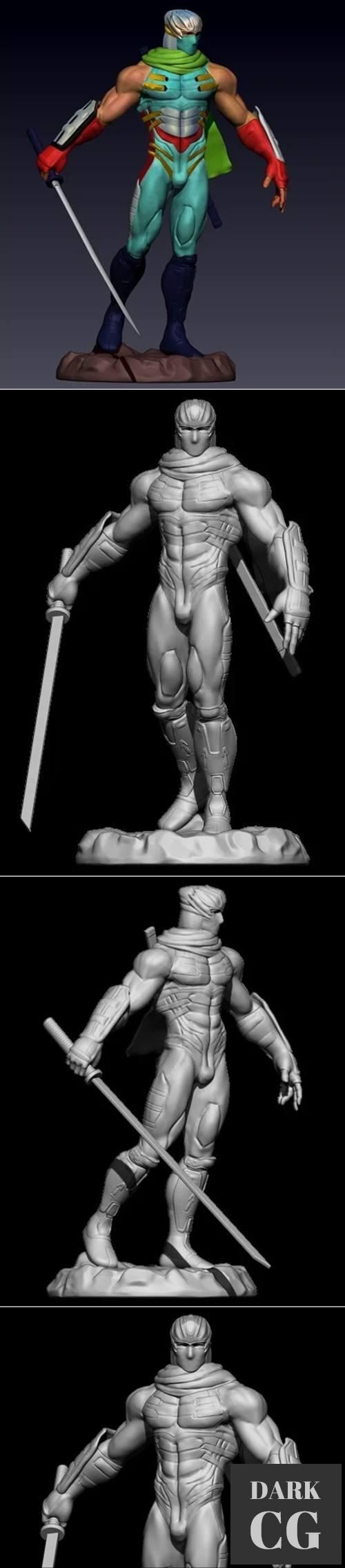 3D Model Ninja Gaiden Ryu Hayabus 3D Print