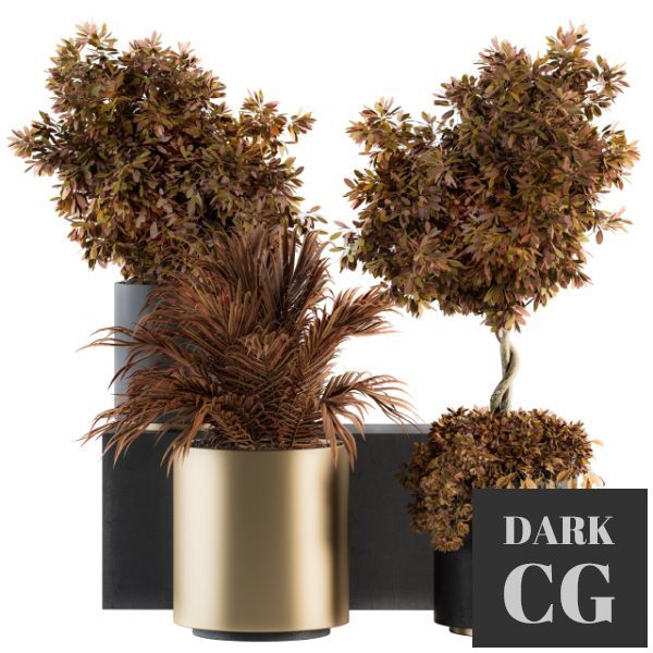 3D Model Indoor Plant Set 91