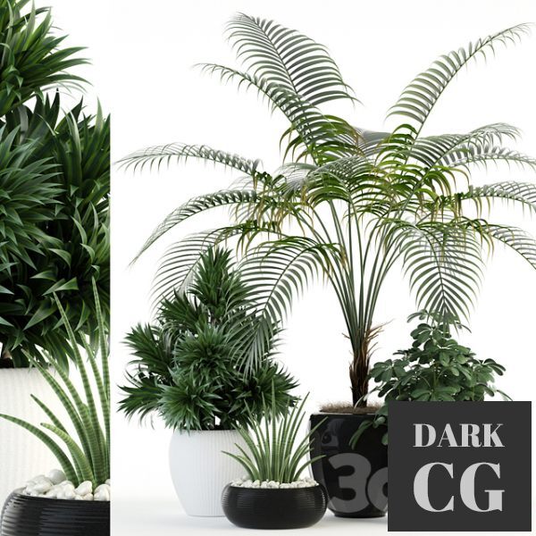 3D Model Plants Collection 86 1