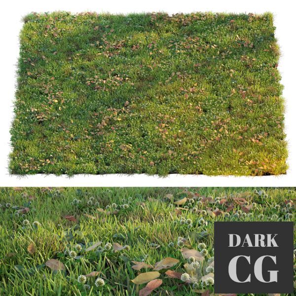 3D Model Lawn with clover and dry leaves