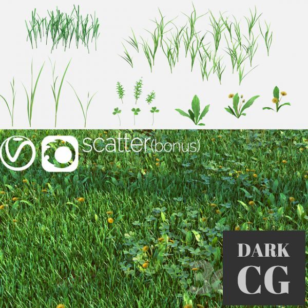 3D Model Set for the Creation of Field Grass and Lawns