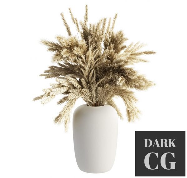 3D Model Apothecary Vase with Pampas Grass by Kristina Dam Studio