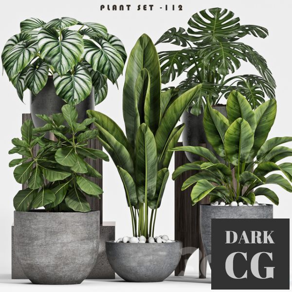 3D Model plant set 112