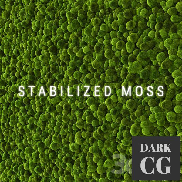 3D Model Stabilized Moss 2