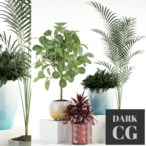 3D Model Plants Collection 92