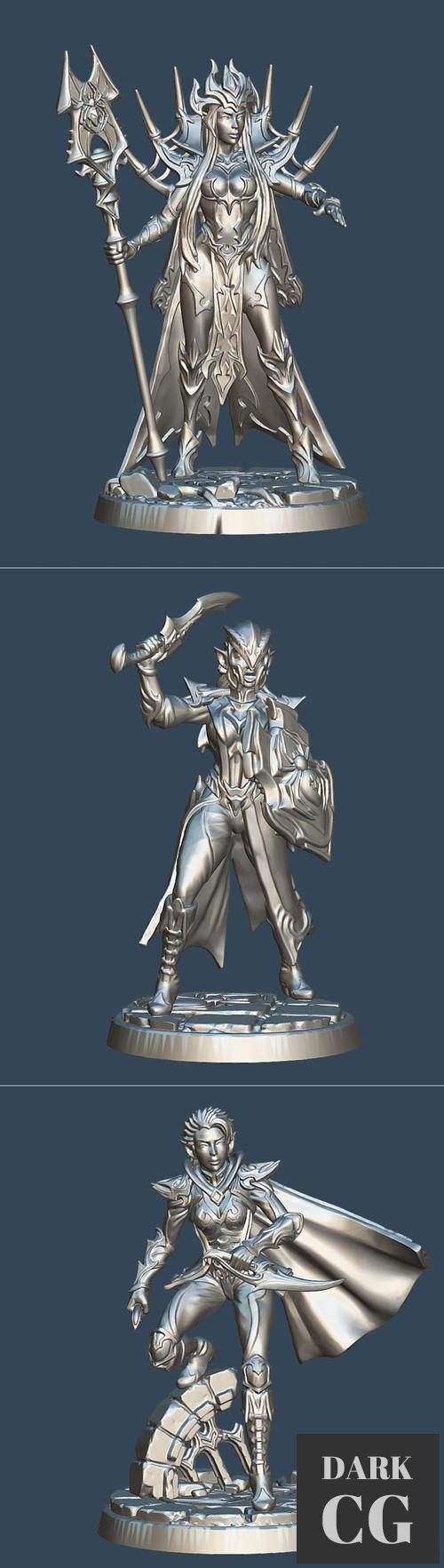 Dark Elf - Talon Champion, Spider Priestess, Guard – 3D Print