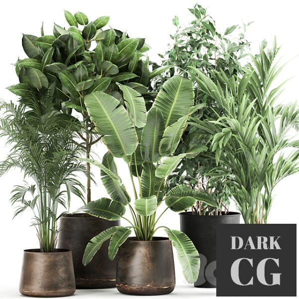 3D Model Plant collection 978