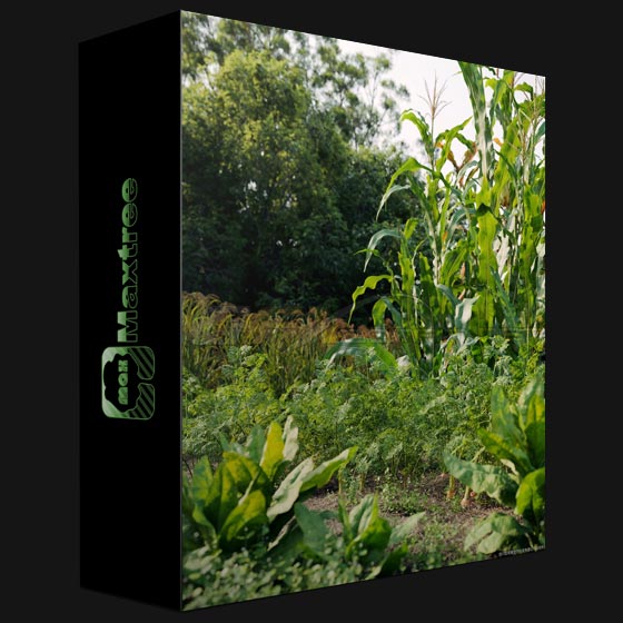 Maxtree Plant Models Vol 93