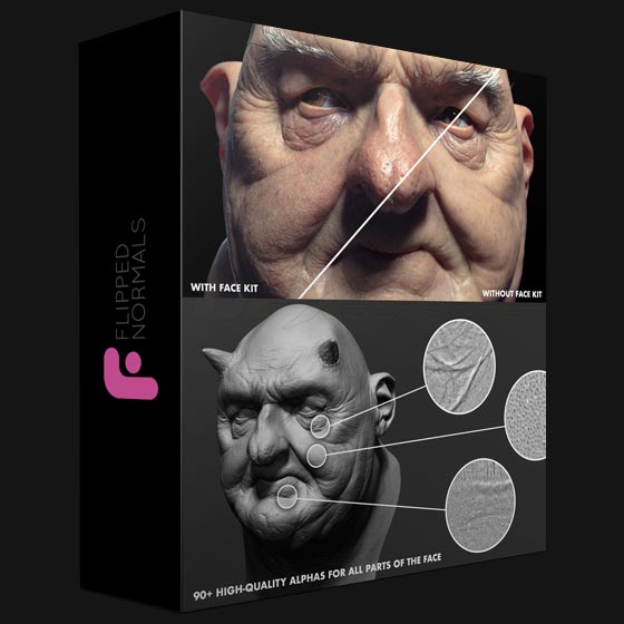 Flipped Normals Face Kit