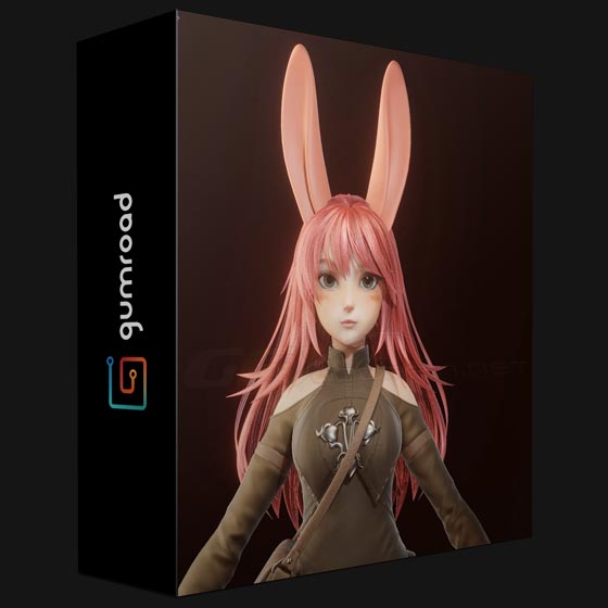 Gumroad Bunny Girl Blender Full process videos