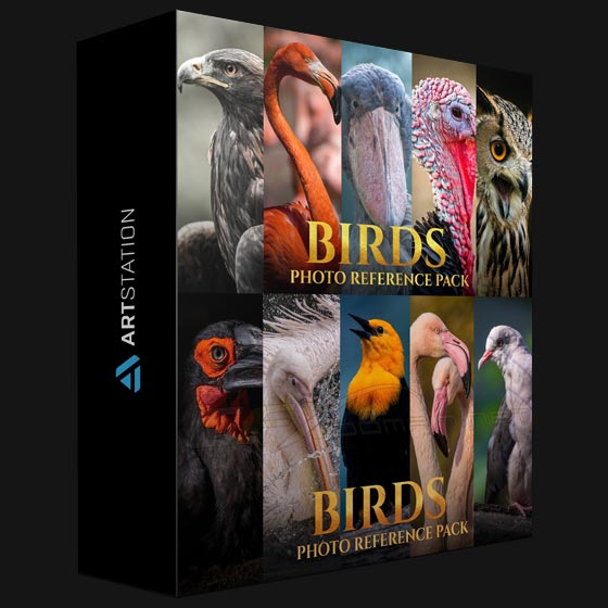 ArtStation Birds Reference Pack For Artists 828 JPEGs By Satine Zillah