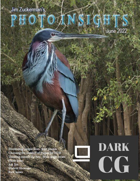 Photo Insights June 2022 True PDF