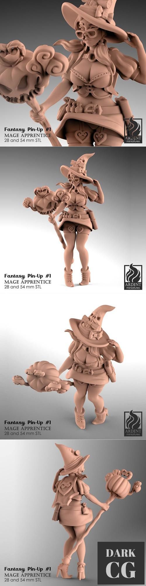 Mage Apprentice - Fantasy Pin-up – 3D Print