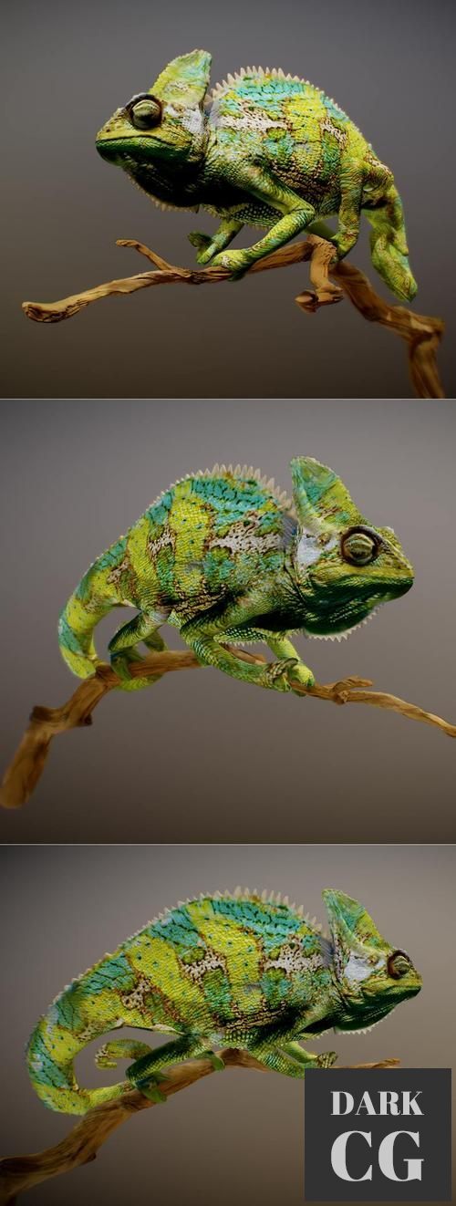 Chameleon Sculpt – 3D Print