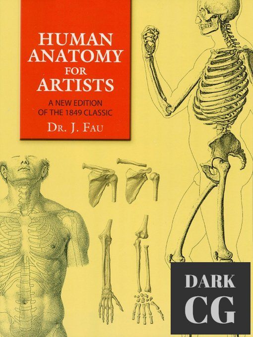Human Anatomy for Artists (Dover Anatomy for Artists) – True EPUB