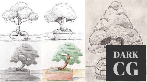 Udemy – Drawing, Shading And Coloring Bonsai Trees In Procreate