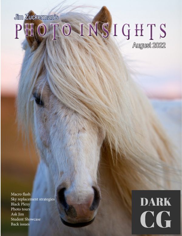 Photo Insights – August 2022 (True PDF)