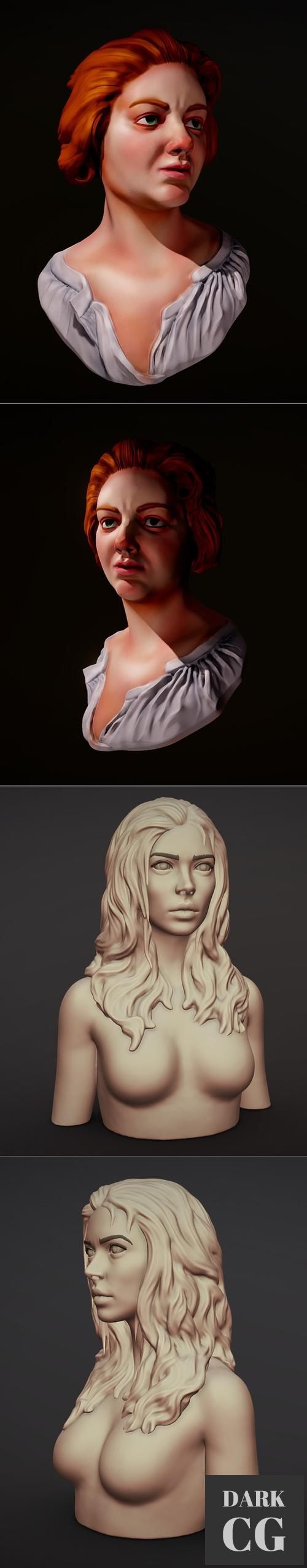 3D Model Costanza Bonarelli bust and Female Bust With Hair 3D Print