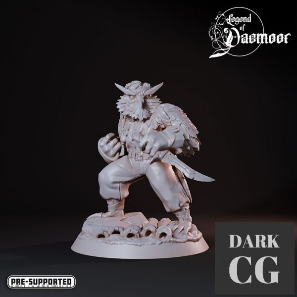 3D Model OwlFolk Assassin 1