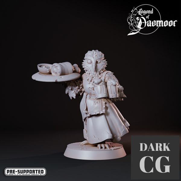 3D Model OwlFolk Innkeeper