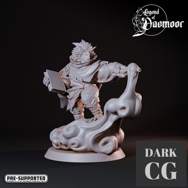 3D Model OwlFolk Wind Mage