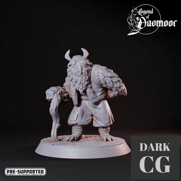 3D Model OwlFolk Wise Elder