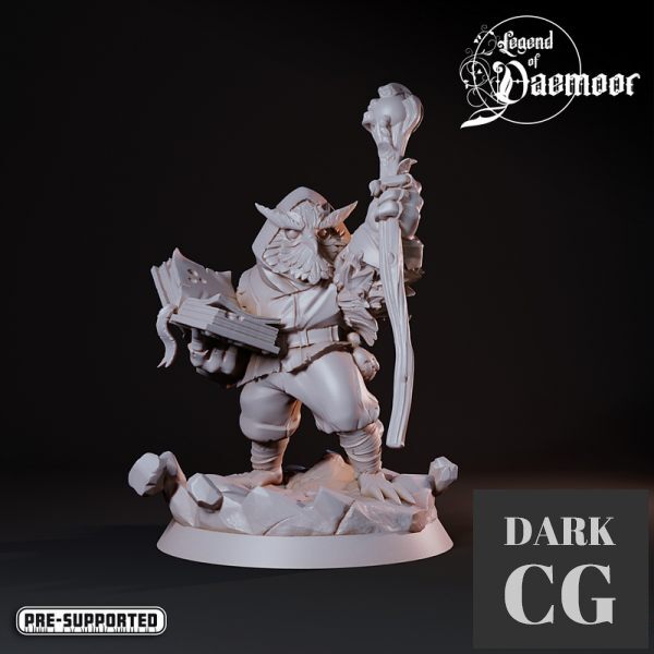 3D Model OwlFolk Wood Mage