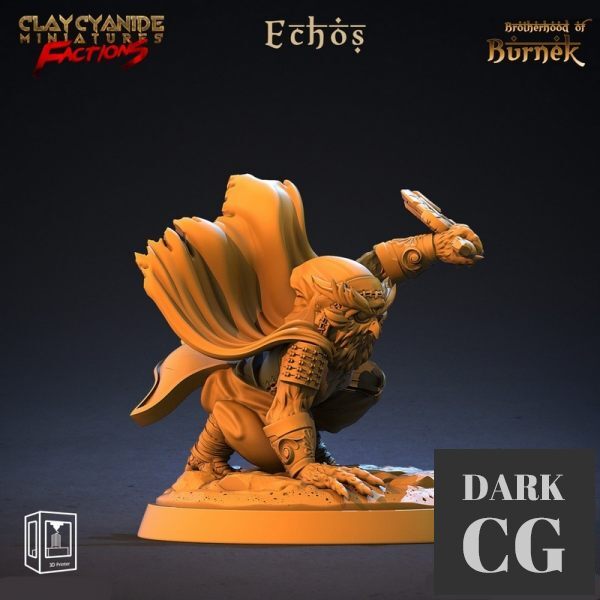 3D Model Echos