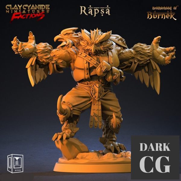 3D Model Rapsa