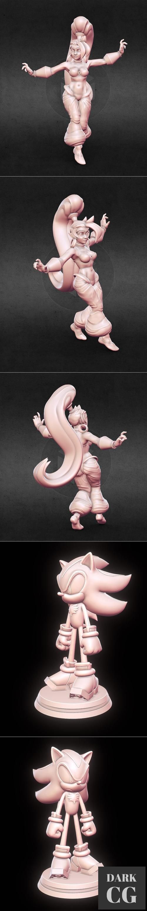 3D Model Shantae and Shadow the Hedgehog 3D Print