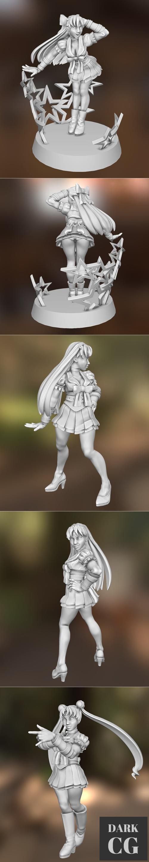 3D Model Sailor D and D Miniature 3D Print