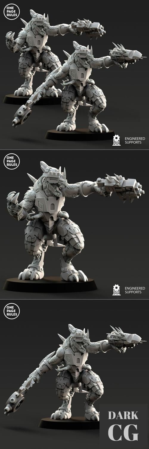 3D Model SSH Veteran 3D Print