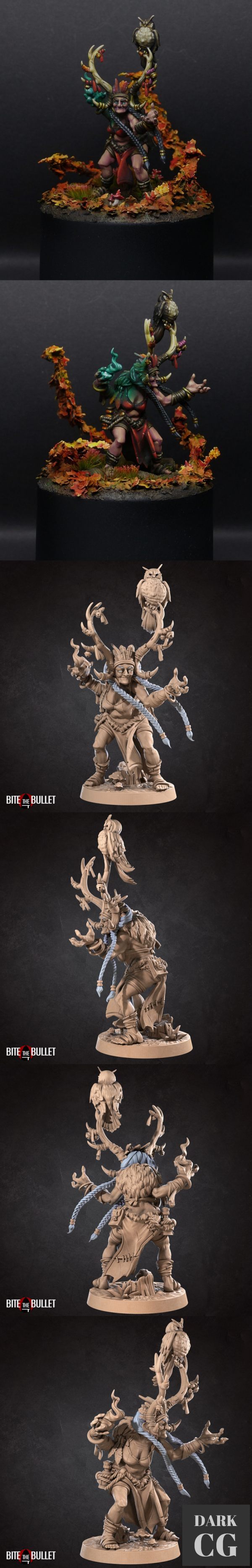 3D Model Agatha the Amazon Elder