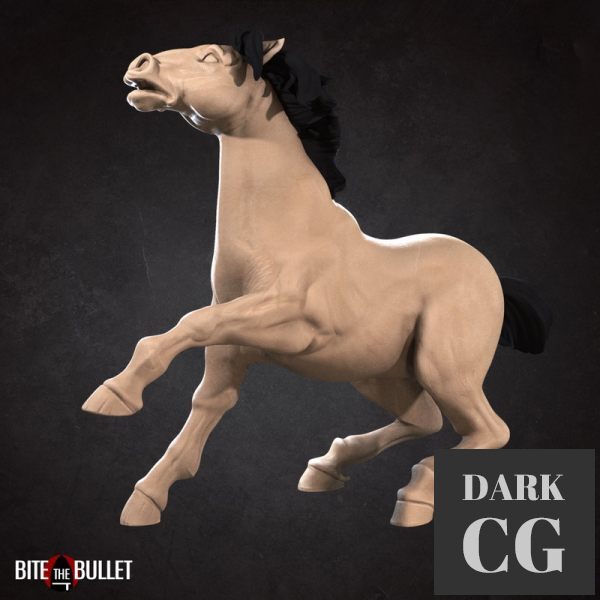 3D Model Horse stopping
