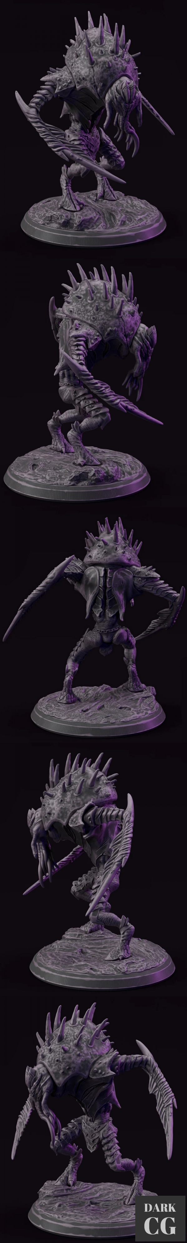 3D Model Mindrazor