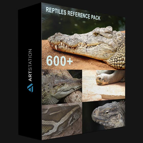 ArtStation 600 Reptiles Pack References by Theo Baudoin