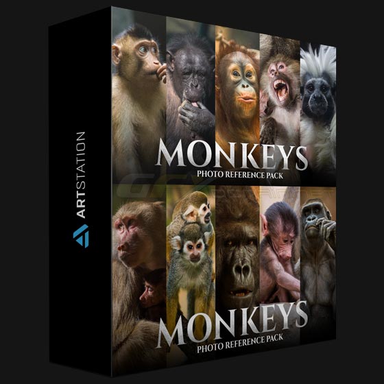 ArtStation Monkeys Photo Reference Pack For Artists 159 JPEGs by Satine Zillah