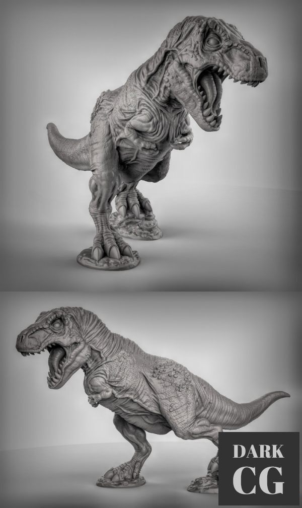 3D Model Tyrannosaurus